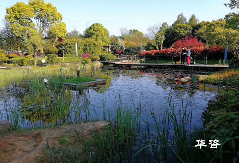 生態(tài)保護(hù)、建設(shè)用地、城鎮(zhèn)發(fā)展影響專題研究報(bào)告案例_華咨基于公路前期專項(xiàng)評估一站式服務(wù)的優(yōu)勢剖析