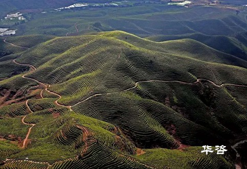 快訊！湖南永州藍山公路項目水土保持方案（水保）順利通過專家評議