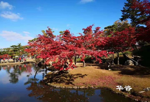 華咨水資源論證科技：創(chuàng)新論證方式，提升水資源利用效率