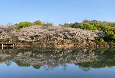 江西省專業(yè)交通技術(shù)服務(wù)公司_華咨航評(píng)和交評(píng)的核心優(yōu)勢(shì)有哪些？