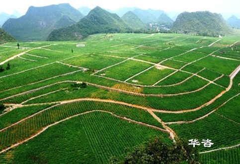 湖南省工程建設(shè)項目編制地質(zhì)災害評估報告的積極意義