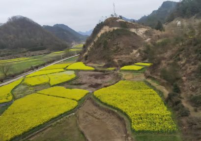 益陽地質(zhì)災(zāi)害安全性評估單位，益陽地災(zāi)評估，地災(zāi)評價機構(gòu)